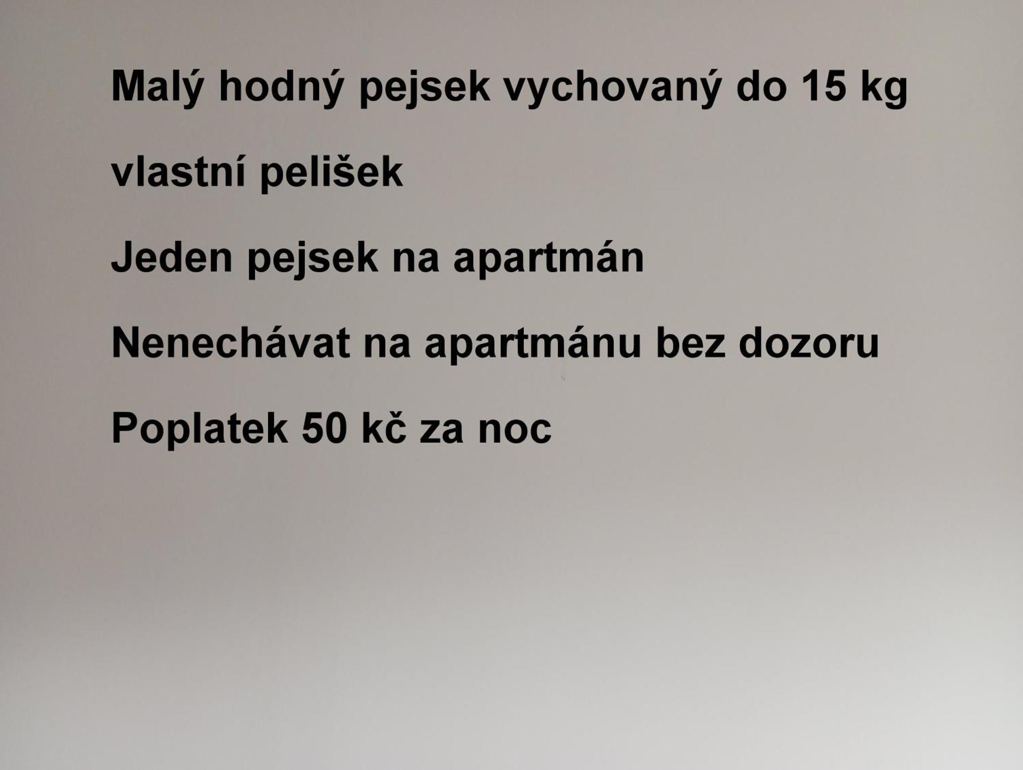 Jeseník Ubytovani Lumik מראה חיצוני תמונה